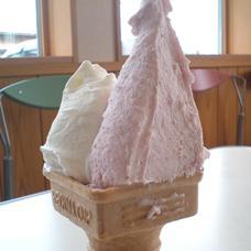 Ice Cream Price, Handmade Gelato - Double purchase | Popularity
