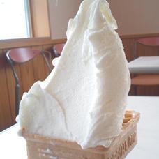 Ice Cream in Japan; Italian Gelato Store | Single・Corn