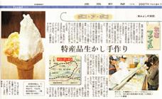 Tokushima Newspaper ( Shimbun ) Evening Paper